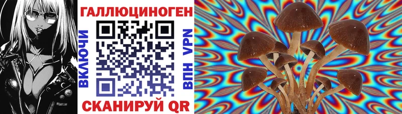 закладка  Щигры  Галлюциногенные грибы Magic Shrooms 